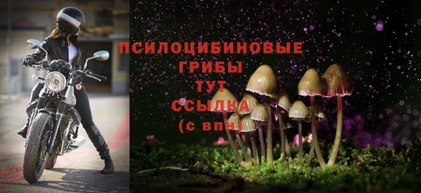 крисы Белоозёрский