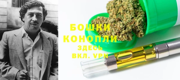крисы Белоозёрский