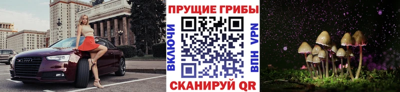 продажа наркотиков  мега вход  Галлюциногенные грибы прущие грибы  Чёрмоз 
