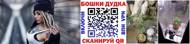 магазин    Чёрмоз  Бошки Шишки AK-47 